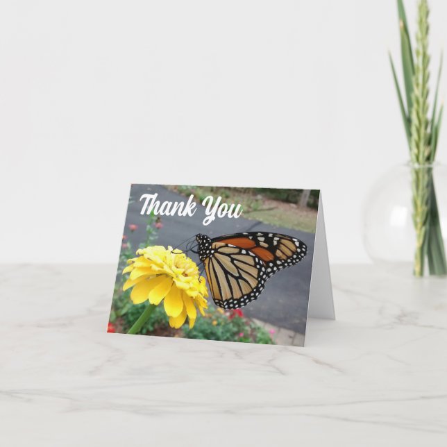 Monarque Sipping Yellow Zinnia Carte de remercieme (Devant)