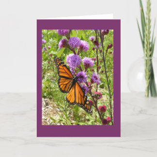 Monarque sur la carte vierge de note de Gayfeather