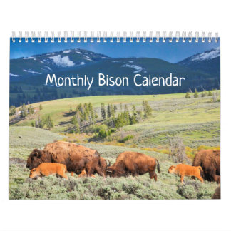 Monatlicher Bison-Kalender - Ausgabe der Nationalp Kalender