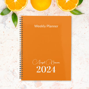 Monatlicher Orange-Geschäftsplan Planer