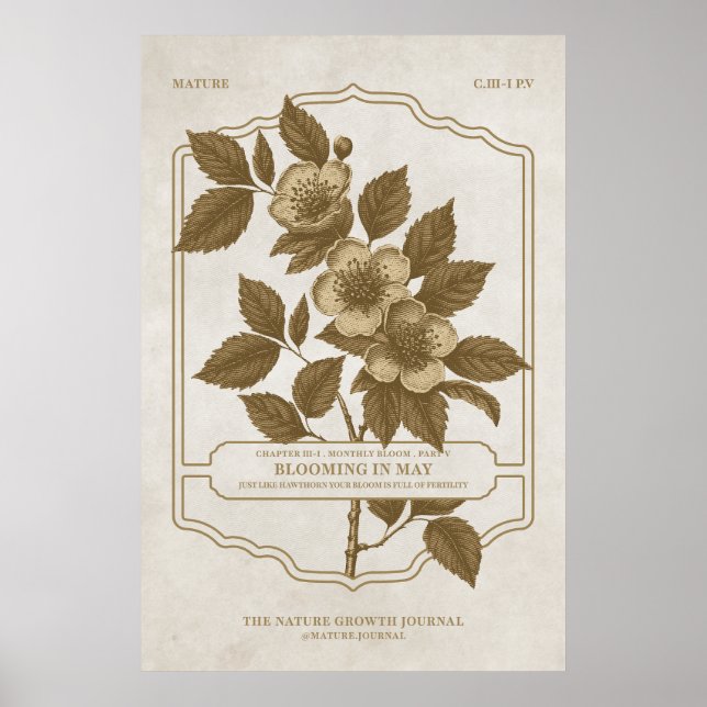 MONATLICHES BLUMEN - MAI GEBURT BLUME GIFT POSTER (Vorne)
