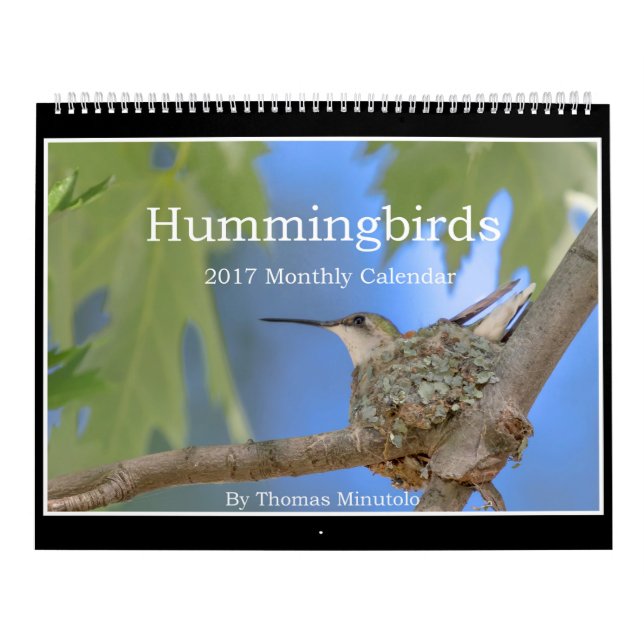 Monatskalender der Kolibri-2017 durch Tom Minutolo Kalender (Titelbild)