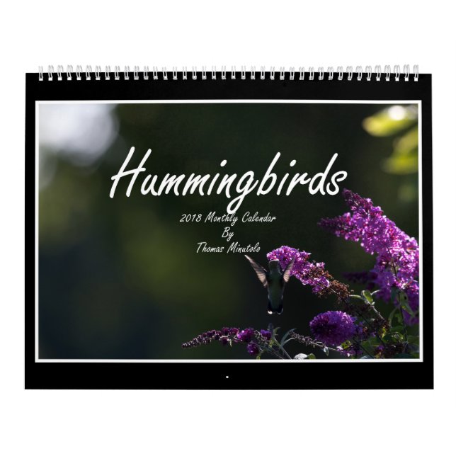 Monatskalender der Kolibri-2018 durch Tom Minutolo Kalender (Titelbild)