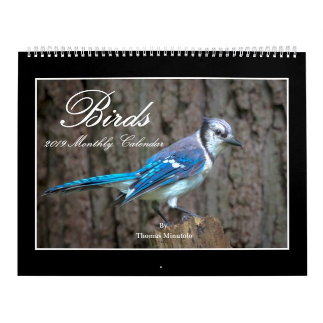 Monatskalender der Vogel-2019 durch Thomas Kalender (Titelbild)