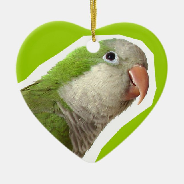 MönchParakeet Keramikornament (Vorne)
