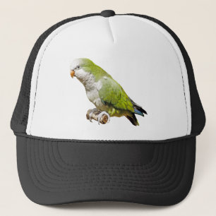 MönchParakeet Truckerkappe