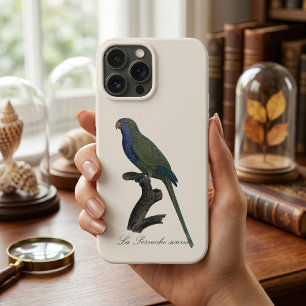 Mönchssittich oder Graukopf-Papagei, Myiopsitta Mo Case-Mate iPhone Hülle
