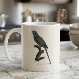 Mönchssittich oder Graukopfsittich, Myiopsitta Mon Kaffeetasse