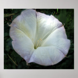 Mond-Blumen-Druck Poster