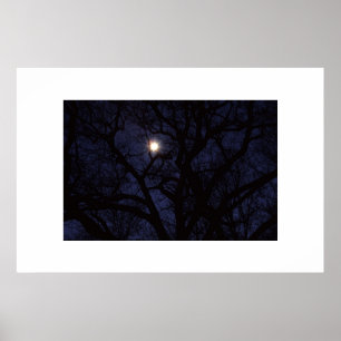 Mond Poster