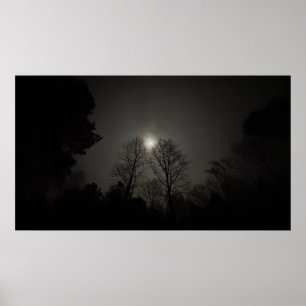Mond über Bäumen, Poster