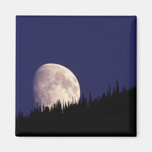 Mond & Wald   Glacier-Nationalpark Montana Magnet