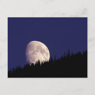 Mond & Wald   Glacier-Nationalpark Montana Postkarte
