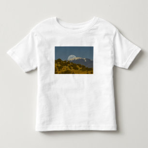 Mondaufgang über die Sangre de Cristo Mountains, Kleinkind T-shirt