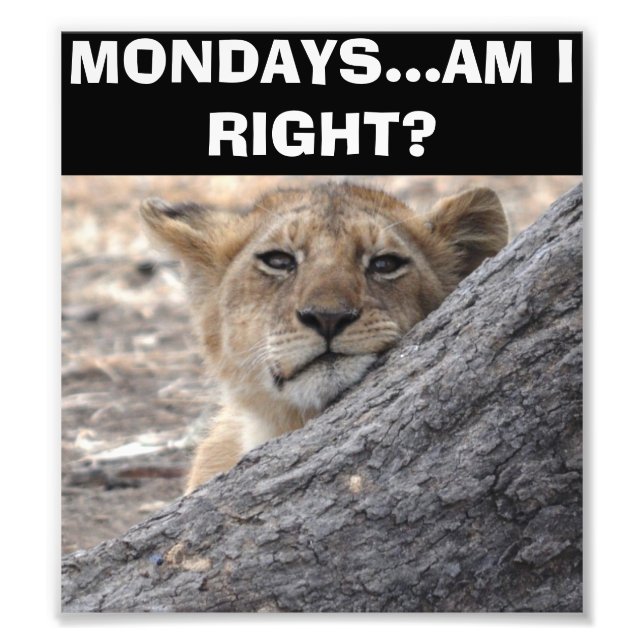 Mondays—Am I Right Poster (Devant)