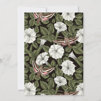 Mondblumen und Sphinxmotten