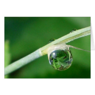 Monde dans une gouttelette