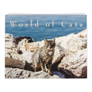 Monde de calendrier de chats