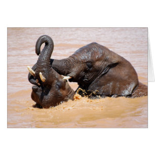 Monde de l'eau des éléphants