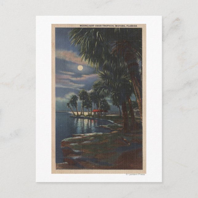 Mondlicht auf einem Florida Beach Florida Postkarte (Vorderseite)