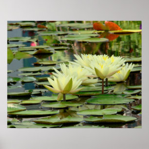 Mondlicht Gelbe Lotus Blüten & Lippenstift Poster