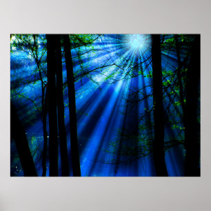 Mondlicht grenzt am See Poster
