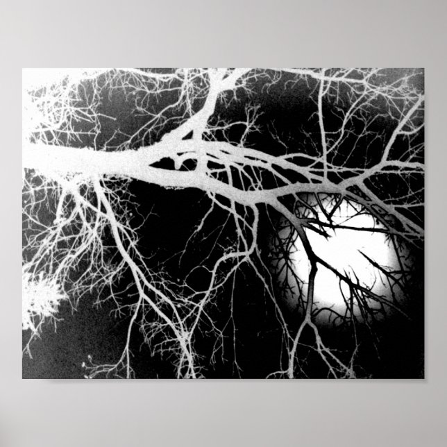 Mondlicht Poster (Vorne)