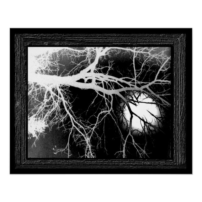 Mondlicht Poster (Vorderseite)