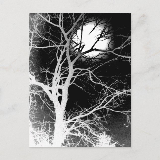 Mondlicht Postkarte (Vorderseite)