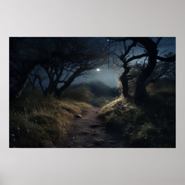 Mondlichtweg auf kurvenreicher Strecke durch Wälde Poster (Vorne)