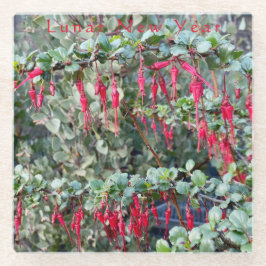 Mondneujahr - Roben Speciosum $ 12,95 pro 15% Glasuntersetzer