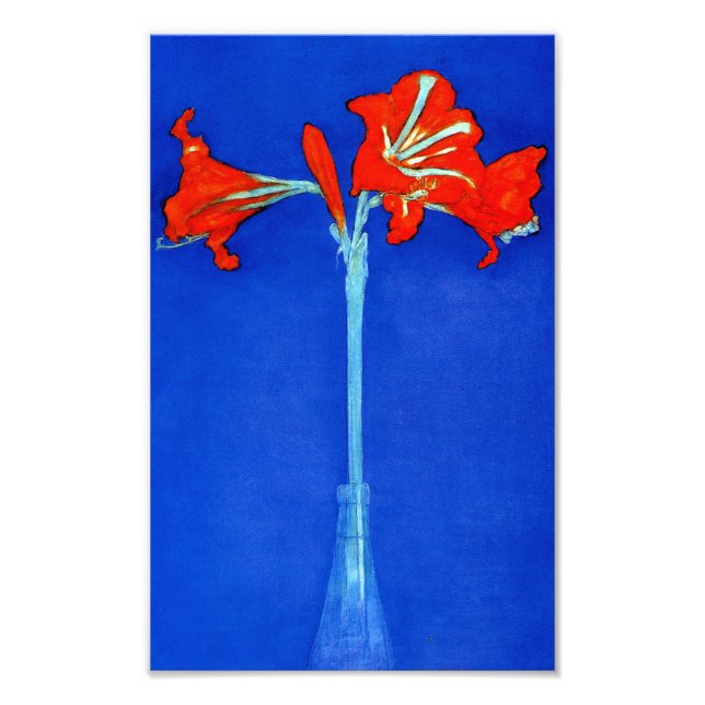 Mondrian Amaryllis Print Fotodruck (Vorne)