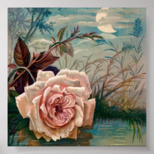 Mondschein-Roseserenade-Plakat Poster
