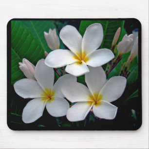 MondscheinPlumeria Mousepad