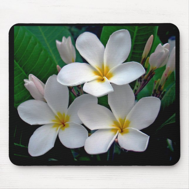 MondscheinPlumeria Mousepad (Vorne)