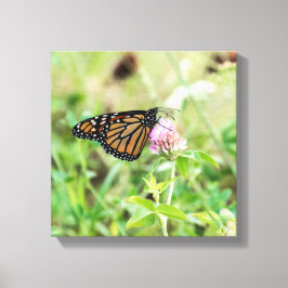 Mondschmetterling Leinwanddruck