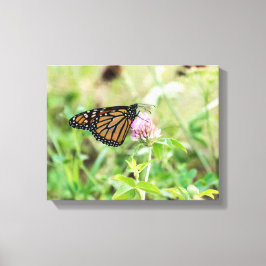 Mondschmetterling Leinwanddruck