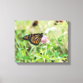 Mondschmetterling Leinwanddruck