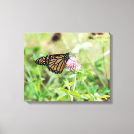 Mondschmetterling Leinwanddruck