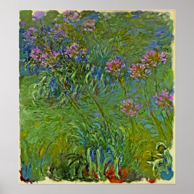 Monet - Agapanthus-Blume 1917 Poster (Vorne)