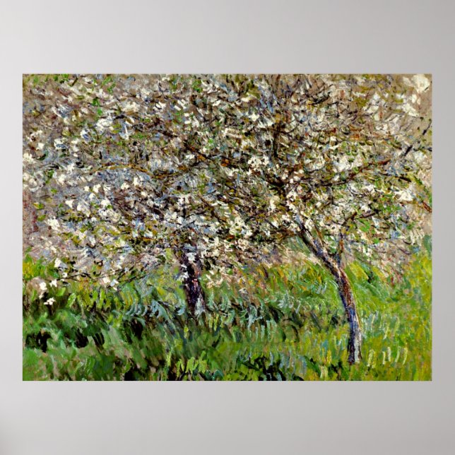Monet - Apfelbäume im Blut Poster (Vorne)