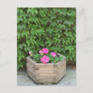 Monets Blume Postkarte