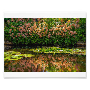 Monets Wasser-Lilien Fotodruck