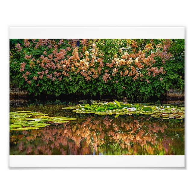 Monets Water Lilies Fotodruck (Vorne)