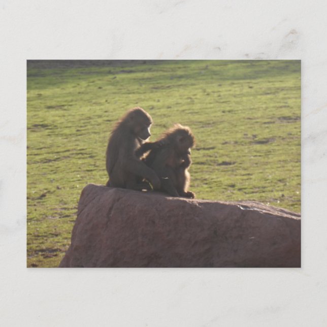 Money Friends Postkarte (Vorderseite)