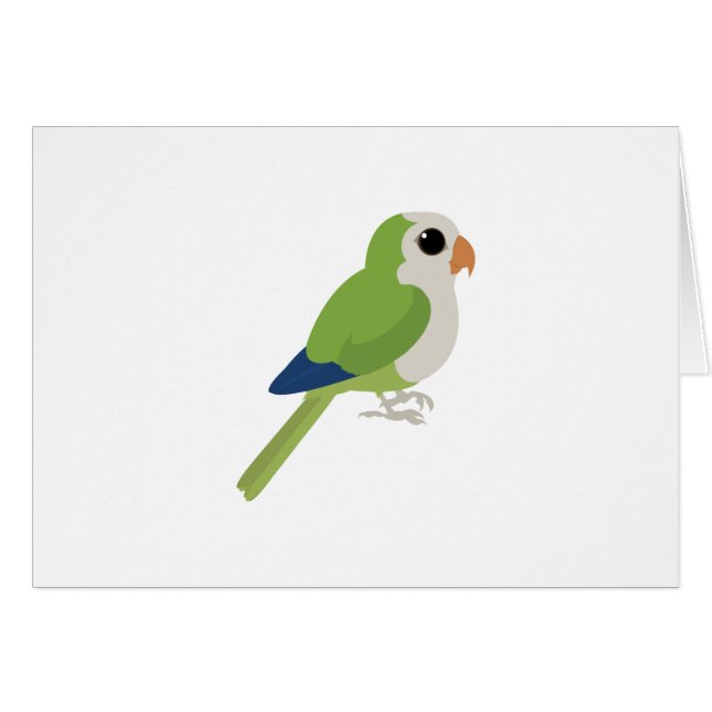 Monk Parakeet (Vorderseite (Horizontal))