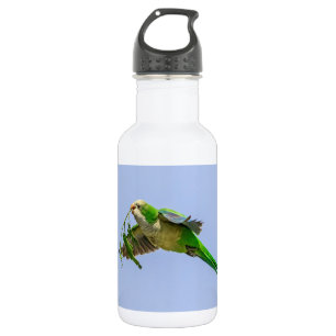 Monk Parakeet im Rio Grande Tal Edelstahlflasche