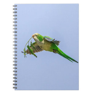 Monk Parakeet im Rio Grande Tal Notizblock