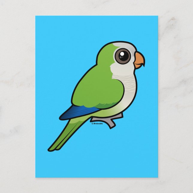Monk Parakeet Postkarte (Vorderseite)
