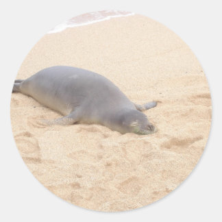 Monk Siegel allein am Strand schlafen Runder Aufkleber